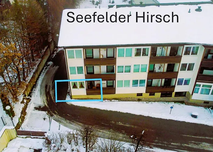 Seefelder Hirsch * 蒂罗尔-泽费尔德