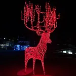 Seefelder Hirsch 아파트 제펠드 인 티롤